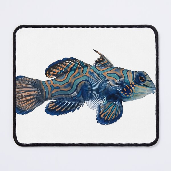 Item preview, Gyotaku of Mandarinfish designed and sold by INKEDOCEAN.