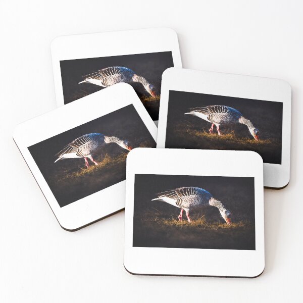 Item preview, Animal photography designed and sold by Tammigrafie.