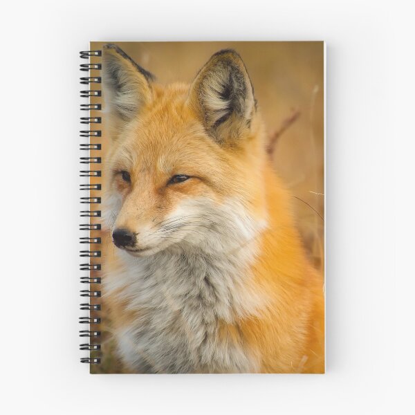 Item preview, Fox on the field designed and sold by BurSie.
