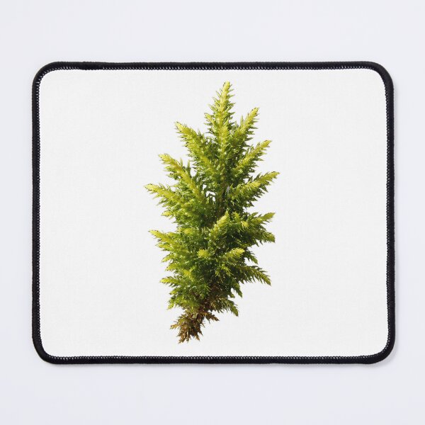 Item preview, Vintage Pine Tree Forest Moss designed and sold by jlfwvbel41.
