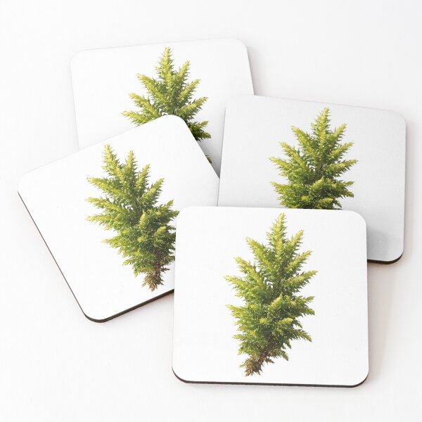 Item preview, Vintage Pine Tree Forest Moss designed and sold by jlfwvbel41.