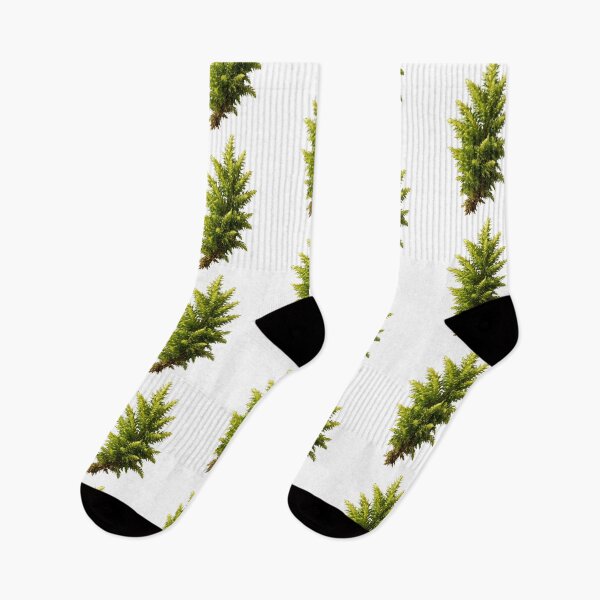 Item preview, Vintage Pine Tree Forest Moss designed and sold by jlfwvbel41.