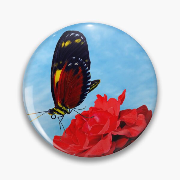 Item preview, Tiger longwing butterfly pollinating a rose Don Juan flower designed and sold by Peter Etchells.