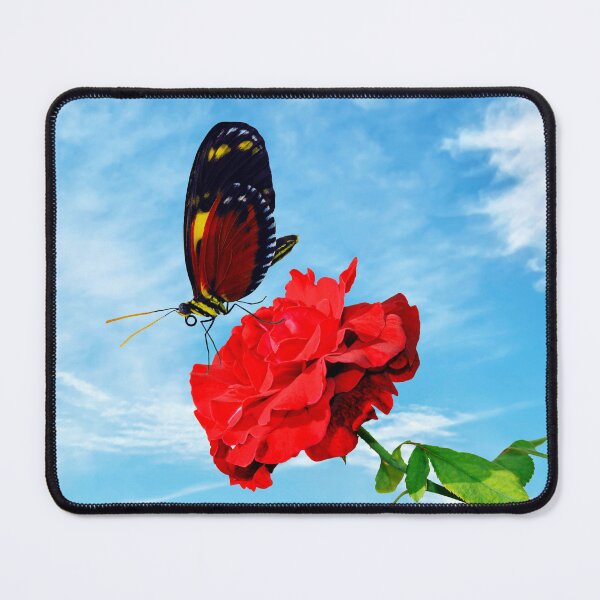 Item preview, Tiger longwing butterfly pollinating a rose Don Juan flower designed and sold by Peter Etchells.