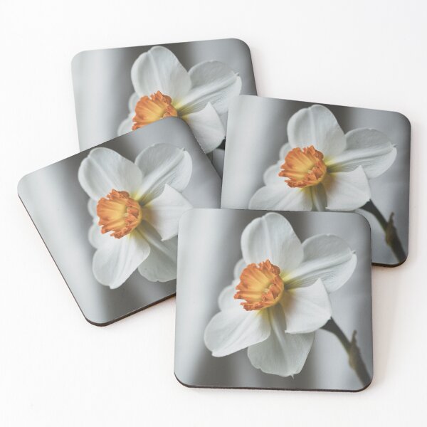 Item preview, Elegant White Narcissus Still Life  designed and sold by Imladris01.