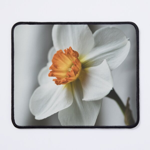 Item preview, Elegant White Narcissus Still Life designed and sold by Imladris01.