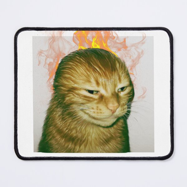 Item preview, Fire Cat Dank meme designed and sold by mooncakekaro.