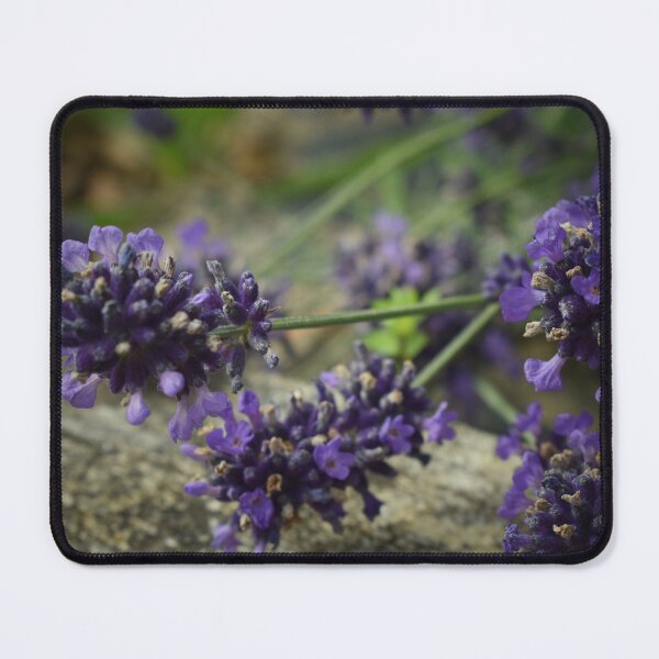Item preview, Lavender bliss designed and sold by Lynalinalee Photography .