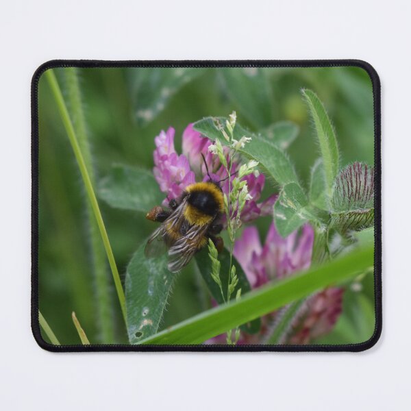 Item preview, A bee's happy place designed and sold by Lynalinalee Photography .