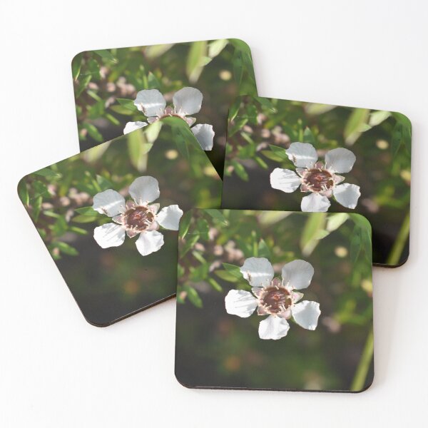 Item preview, Manuka flower designed and sold by Lynalinalee Photography .