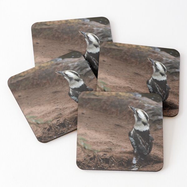 Item preview, Laughing Kookaburra designed and sold by Lynalinalee Photography .