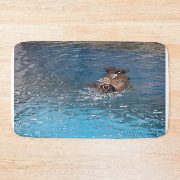 Item preview, Sally the sealy seal designed and sold by Lynalinalee Photography .