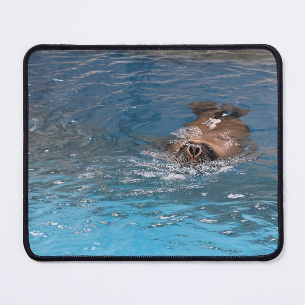 Item preview, Sally the sealy seal designed and sold by Lynalinalee Photography .