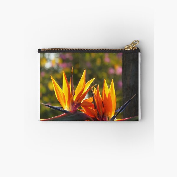 Item preview, colors in light - colores en la luz designed and sold by Bernhard Matejka.