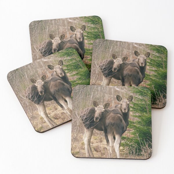 Item preview, A Moose's view designed and sold by ByMarielle.