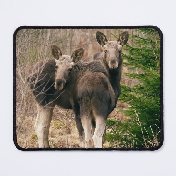 Item preview, A Moose's view designed and sold by ByMarielle.