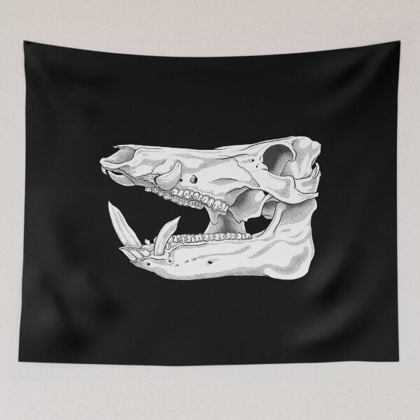 Item preview, Wild Boar Skull Anatomy Illustration designed and sold by hwmllphwt65.