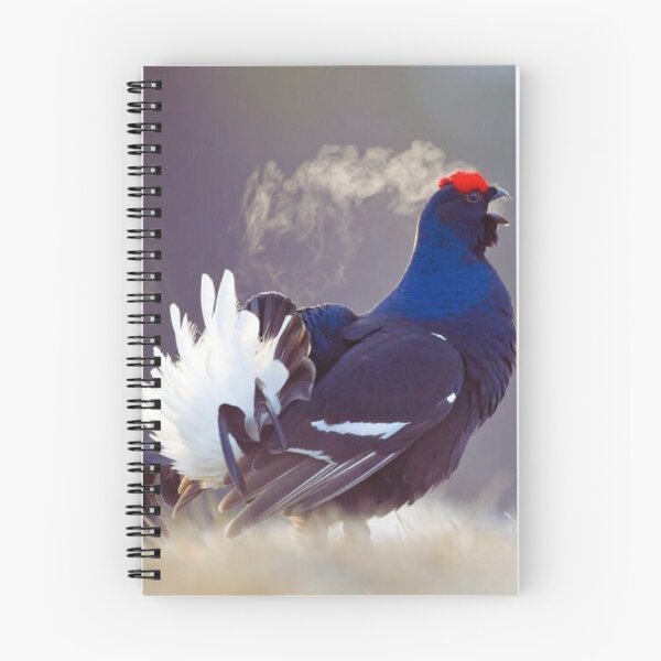 Item preview, Capercaillie designed and sold by di-Vera-Rosati.