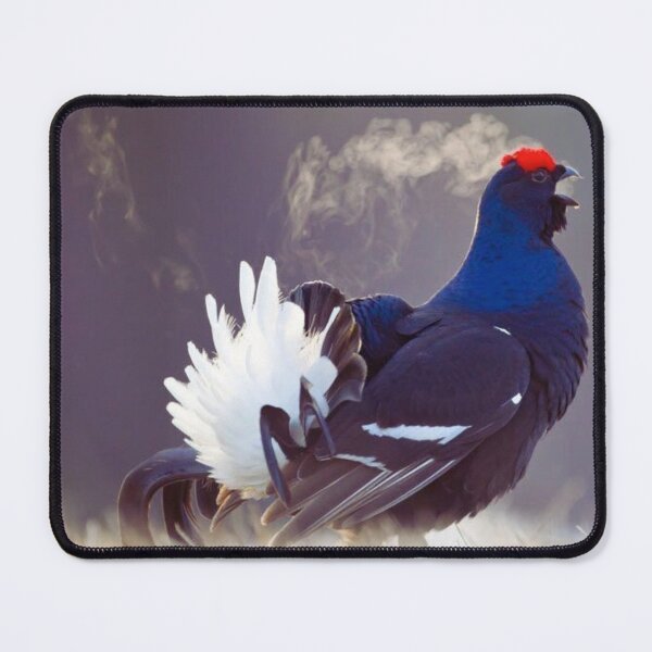 Item preview, Capercaillie designed and sold by di-Vera-Rosati.