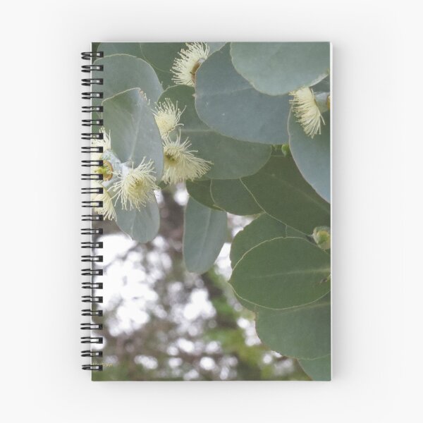 Item preview, gum blossom designed and sold by Helen Richards.