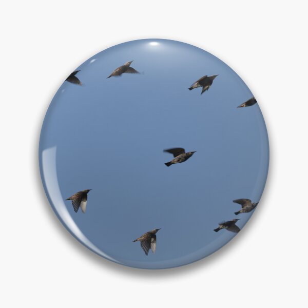 Item preview, Flock of Birds (European Starlings) designed and sold by 1DCX.