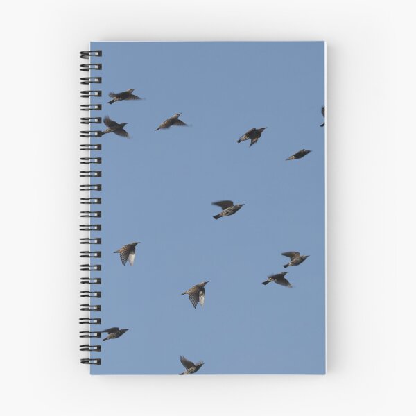 Item preview, Flock of Birds (European Starlings) designed and sold by 1DCX.