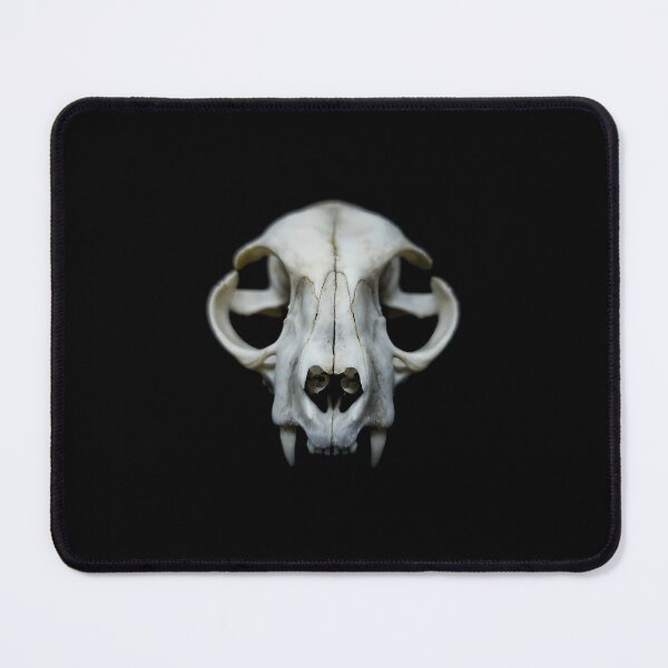 Item preview, Domestic Cat Skull Anatomy Art designed and sold by ihplpiyhzcw8.