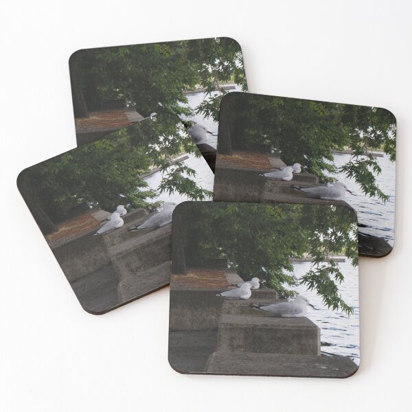Item preview, Silver Gulls at Rest - Lake Burley Griffin, Canberra designed and sold by Surverta.