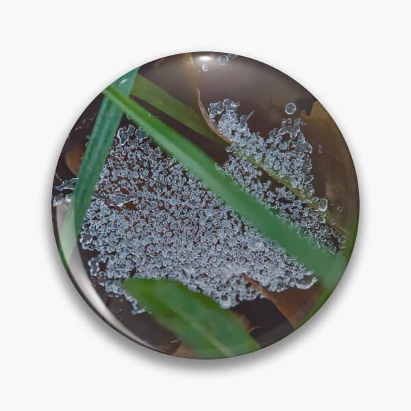 Item preview, Crystalline Web in the Forest Undergrowth designed and sold by ShotsbyDesiree.
