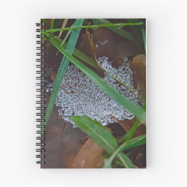 Item preview, Crystalline Web in the Forest Undergrowth designed and sold by ShotsbyDesiree.