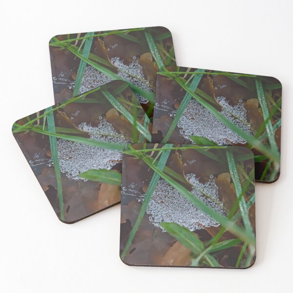 Item preview, Crystalline Web in the Forest Undergrowth designed and sold by ShotsbyDesiree.