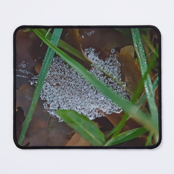Item preview, Crystalline Web in the Forest Undergrowth designed and sold by ShotsbyDesiree.