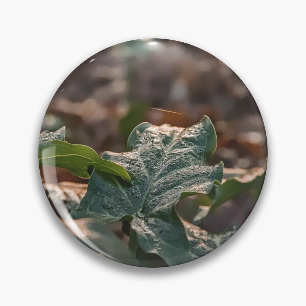 Item preview, Golden Hour Glow on Forest Ivy designed and sold by ShotsbyDesiree.