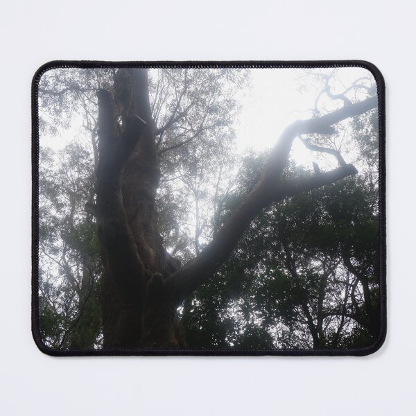 Item preview, Reaching Through the Mist - Eucalypt Canopy designed and sold by Surverta.