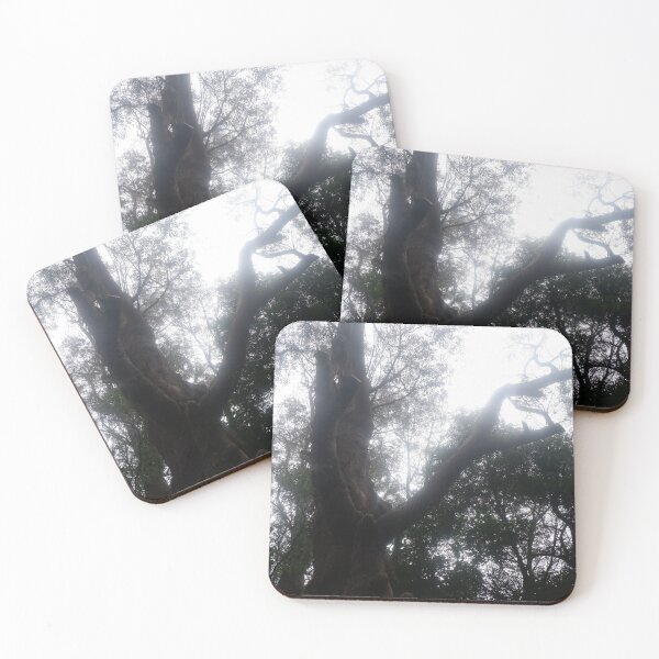 Item preview, Reaching Through the Mist - Eucalypt Canopy designed and sold by Surverta.