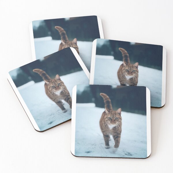 Item preview, Curious Cat in the Snow – Winter Animal Photography designed and sold by Sarah – Fine Art & Photography.