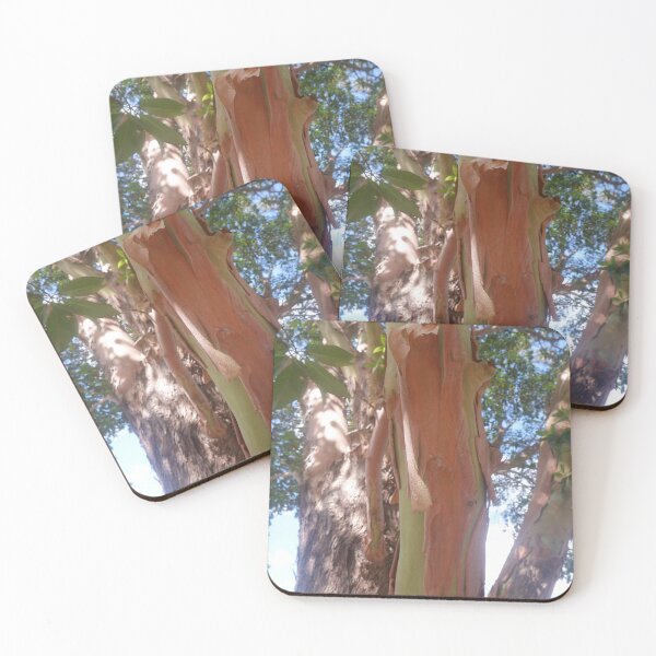 Item preview, Peeling Eucalyptus Bark Texture designed and sold by Surverta.