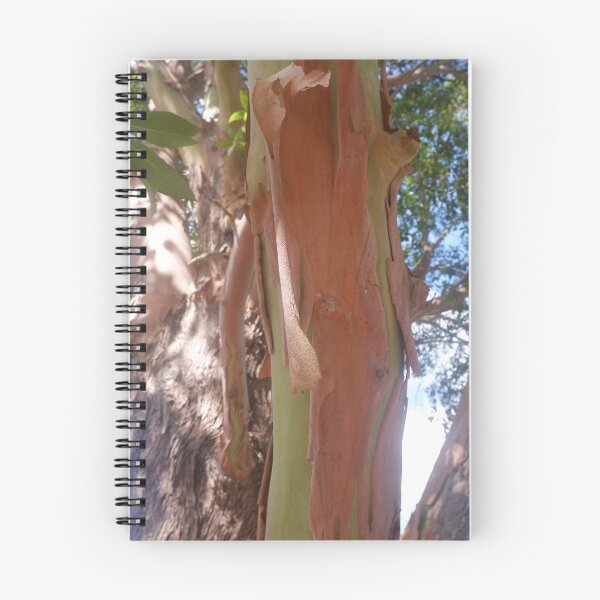 Item preview, Peeling Eucalyptus Bark Texture designed and sold by Surverta.
