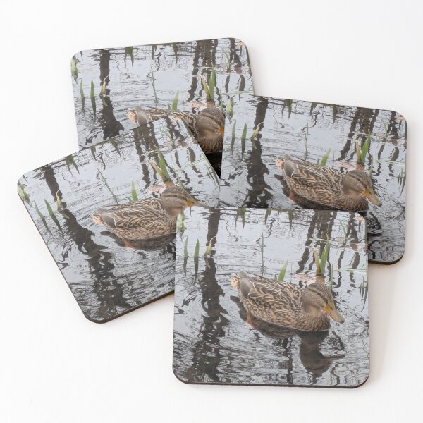 Item preview, Mallard in the water designed and sold by MonStile.