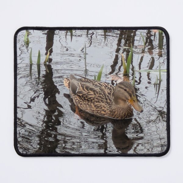 Item preview, Mallard in the water designed and sold by MonStile.