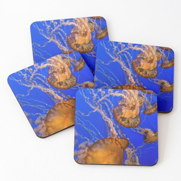 Item preview, Pacific Sea Nettle Jellyfish designed and sold by Gerard Fornarotto.