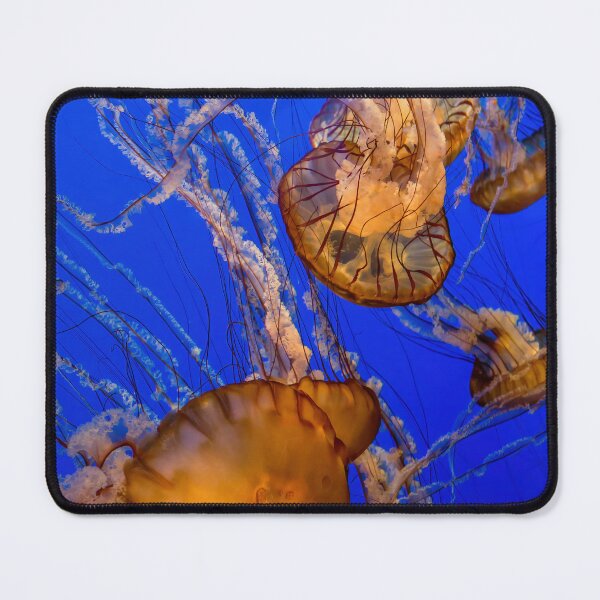 Item preview, Pacific Sea Nettle Jellyfish designed and sold by Gerard Fornarotto.