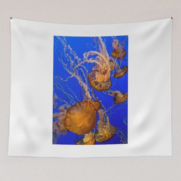 Item preview, Pacific Sea Nettle Jellyfish designed and sold by Gerard Fornarotto.