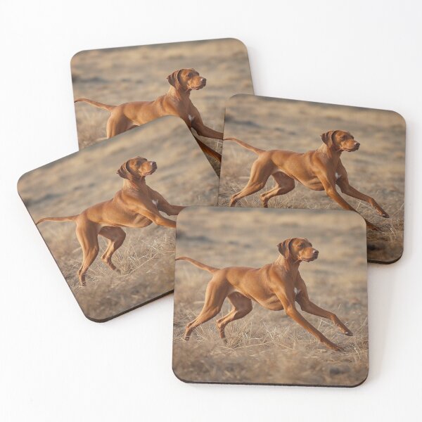 Item preview, Focused Motion Realism Vizsla Rizan Hunting Stance Dog Design – Athletic Field Dog Portrait designed and sold by ArtivaNest.