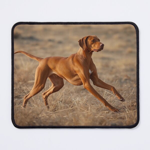 Item preview, Focused Motion Realism Vizsla Rizan Hunting Stance Dog Design – Athletic Field Dog Portrait designed and sold by ArtivaNest.
