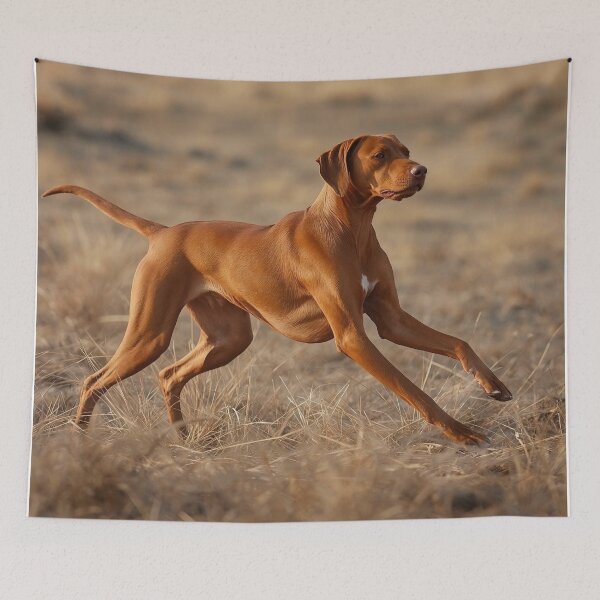 Item preview, Focused Motion Realism Vizsla Rizan Hunting Stance Dog Design – Athletic Field Dog Portrait designed and sold by ArtivaNest.