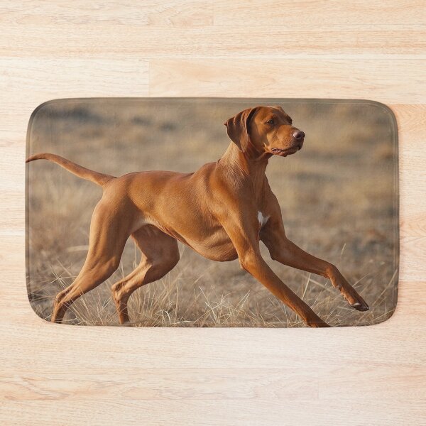 Item preview, Focused Motion Realism Vizsla Rizan Hunting Stance Dog Design – Athletic Field Dog Portrait designed and sold by ArtivaNest.