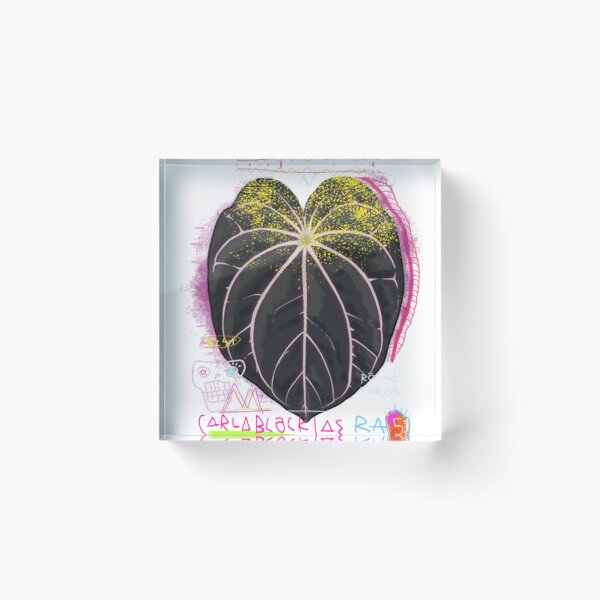 Item preview, Anthurium Carlablackiae designed and sold by brotherplantart.