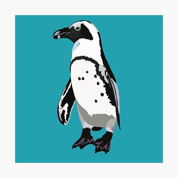 Item preview,  A is for African Penguin,African Penguin Illustration – Charming Coastal Bird Artwork designed and sold by PrettylittlepastelUk.