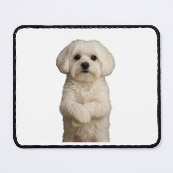 Item preview, Maltese designed and sold by TodeNina.